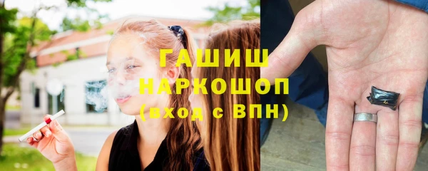 хмурый Алексин