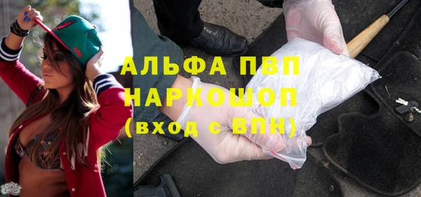 хмурый Алексин